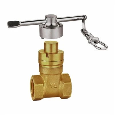 Magnetic Lock Gate Valve
